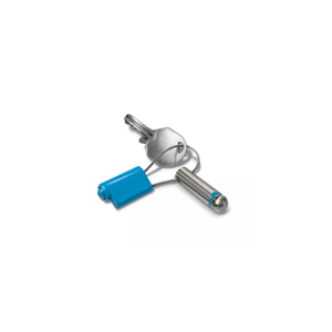 Intelligent Key Systems